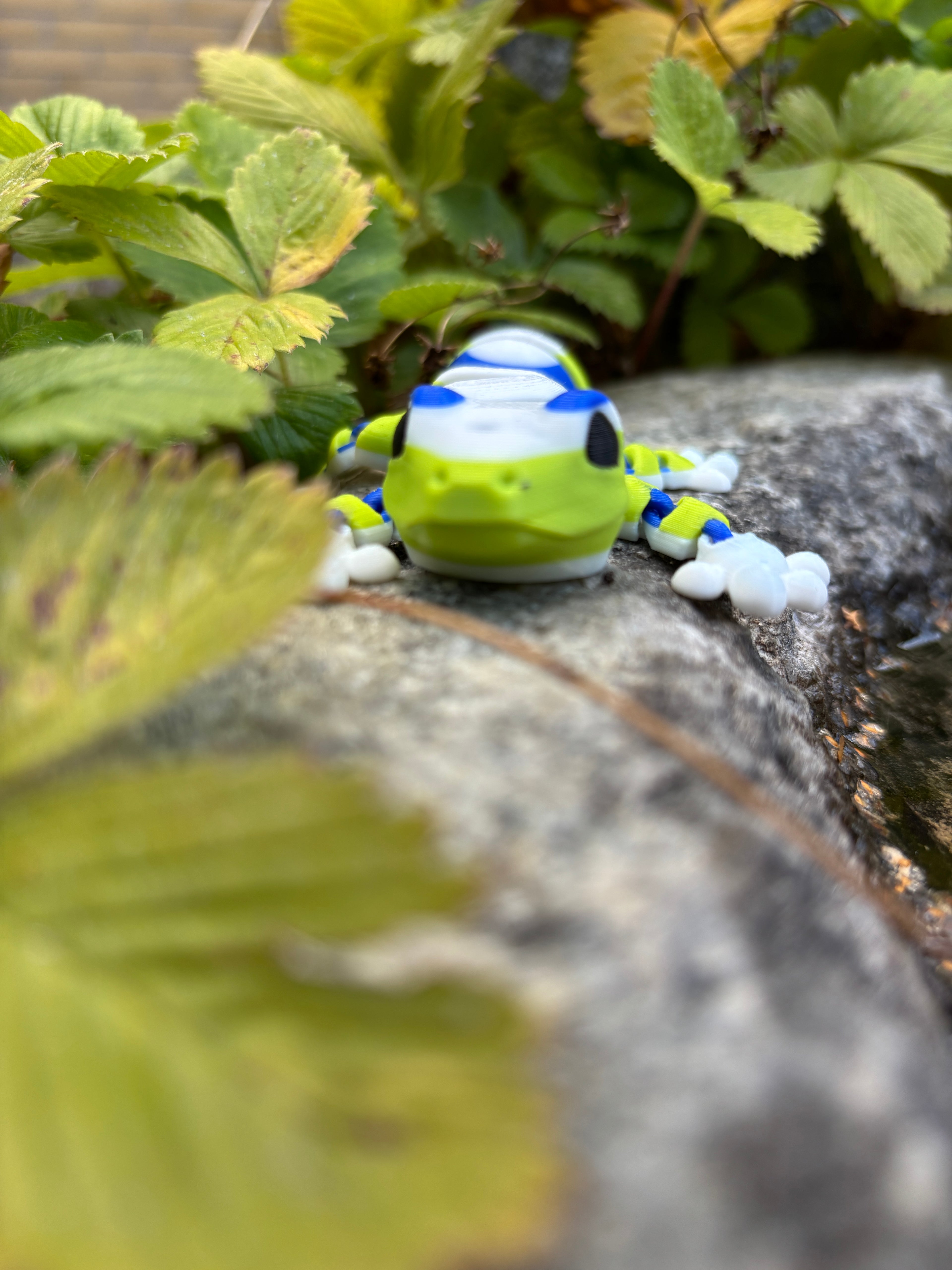 Zippy, the Stripe-Tailed Wonder Gecko of Whispering Jungle
