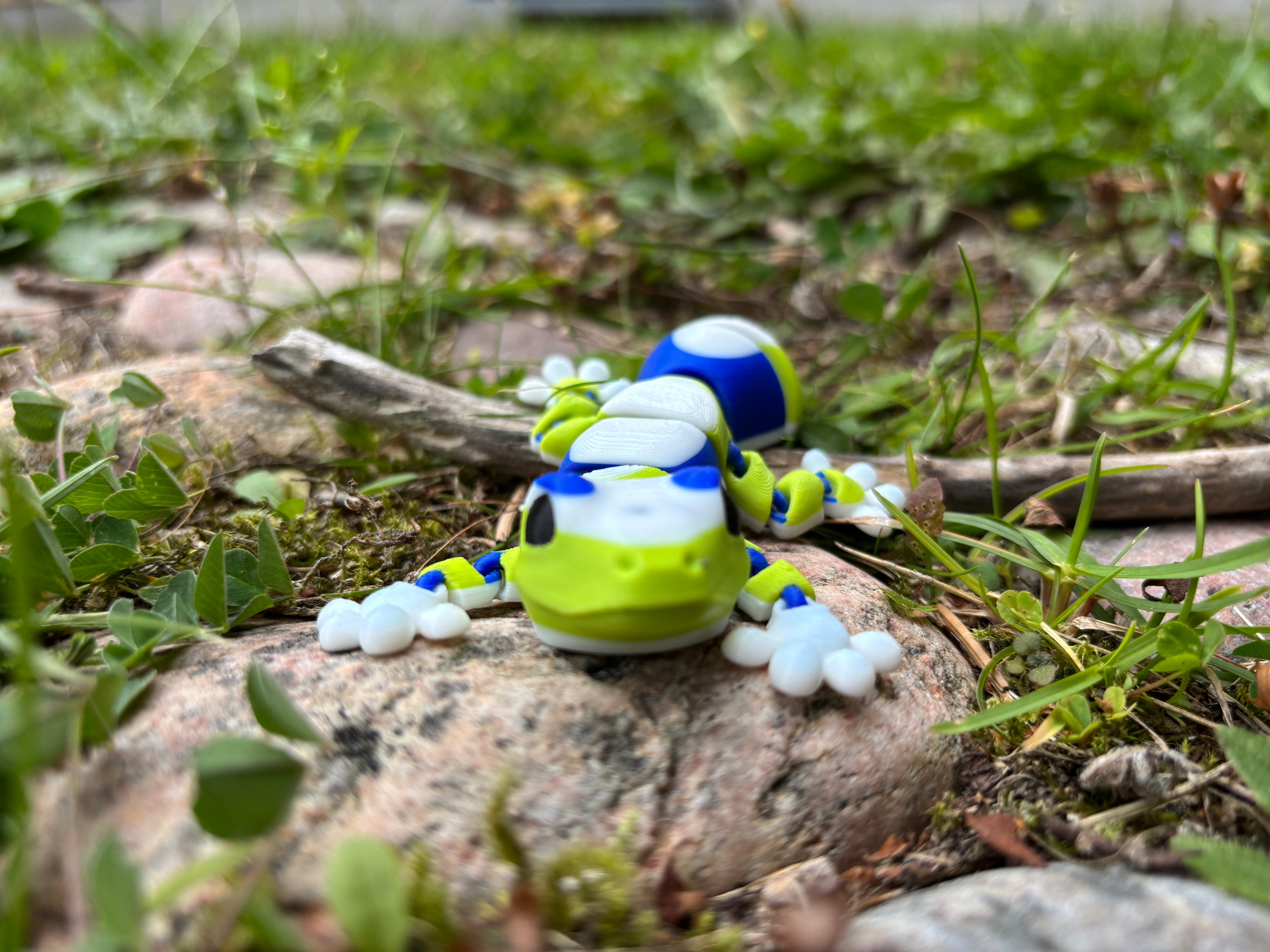 Zippy, the Stripe-Tailed Wonder Gecko of Whispering Jungle