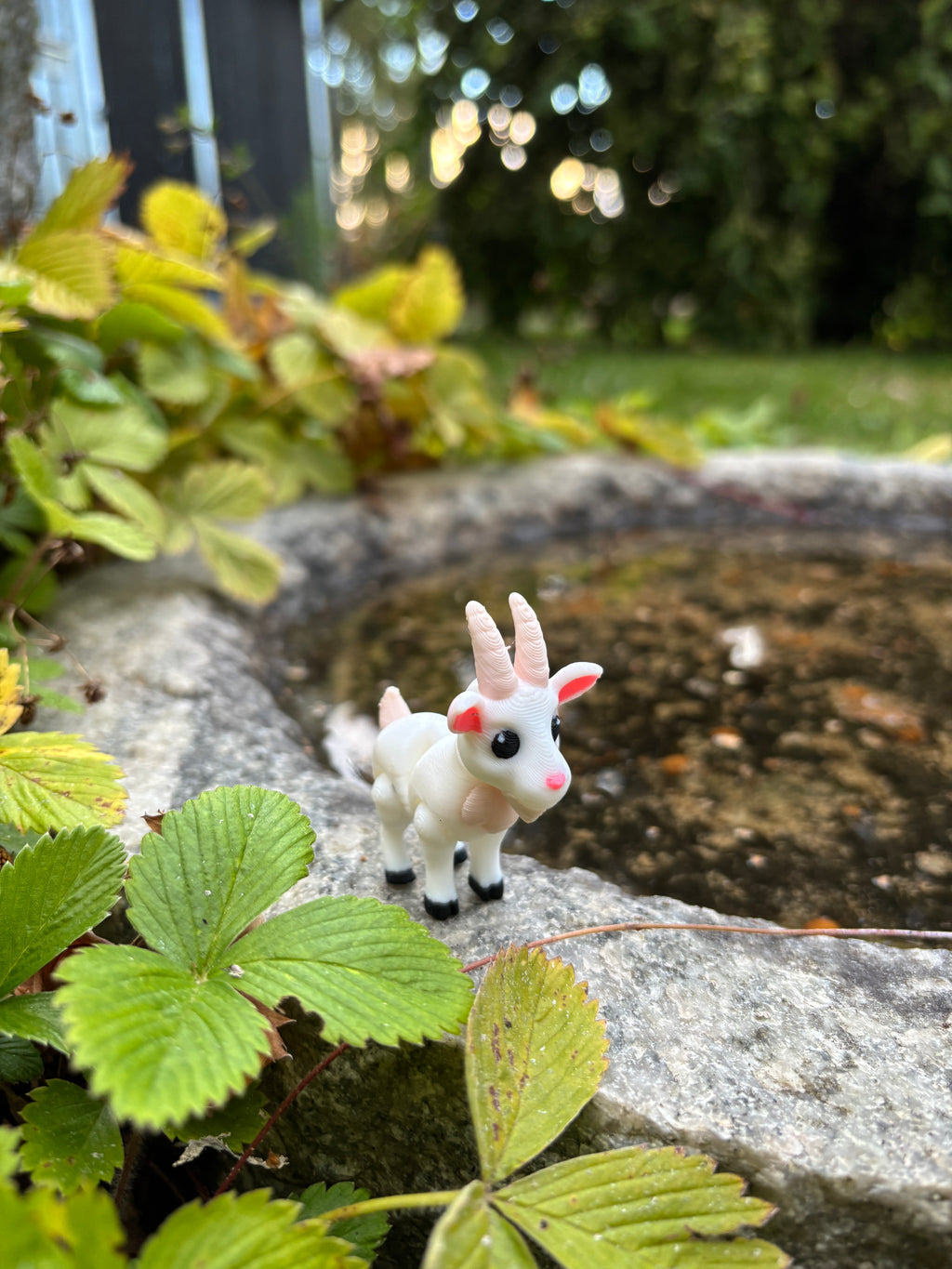 Gideon, the Giggling Mountain Kid of Meadowbrook