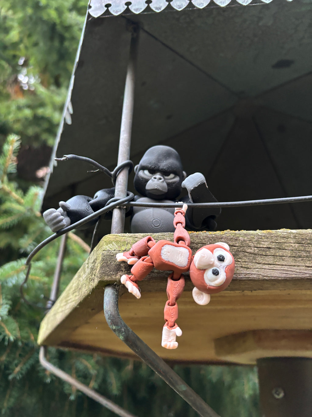 Grumble, the Silent Guardian of the Forgotten Jungle