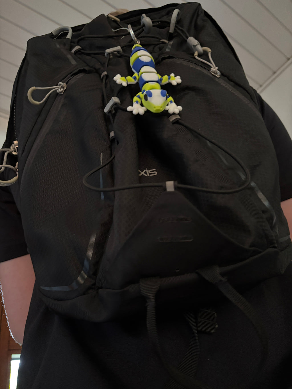 Zippy, the Stripe-Tailed Wonder Gecko of Whispering Jungle