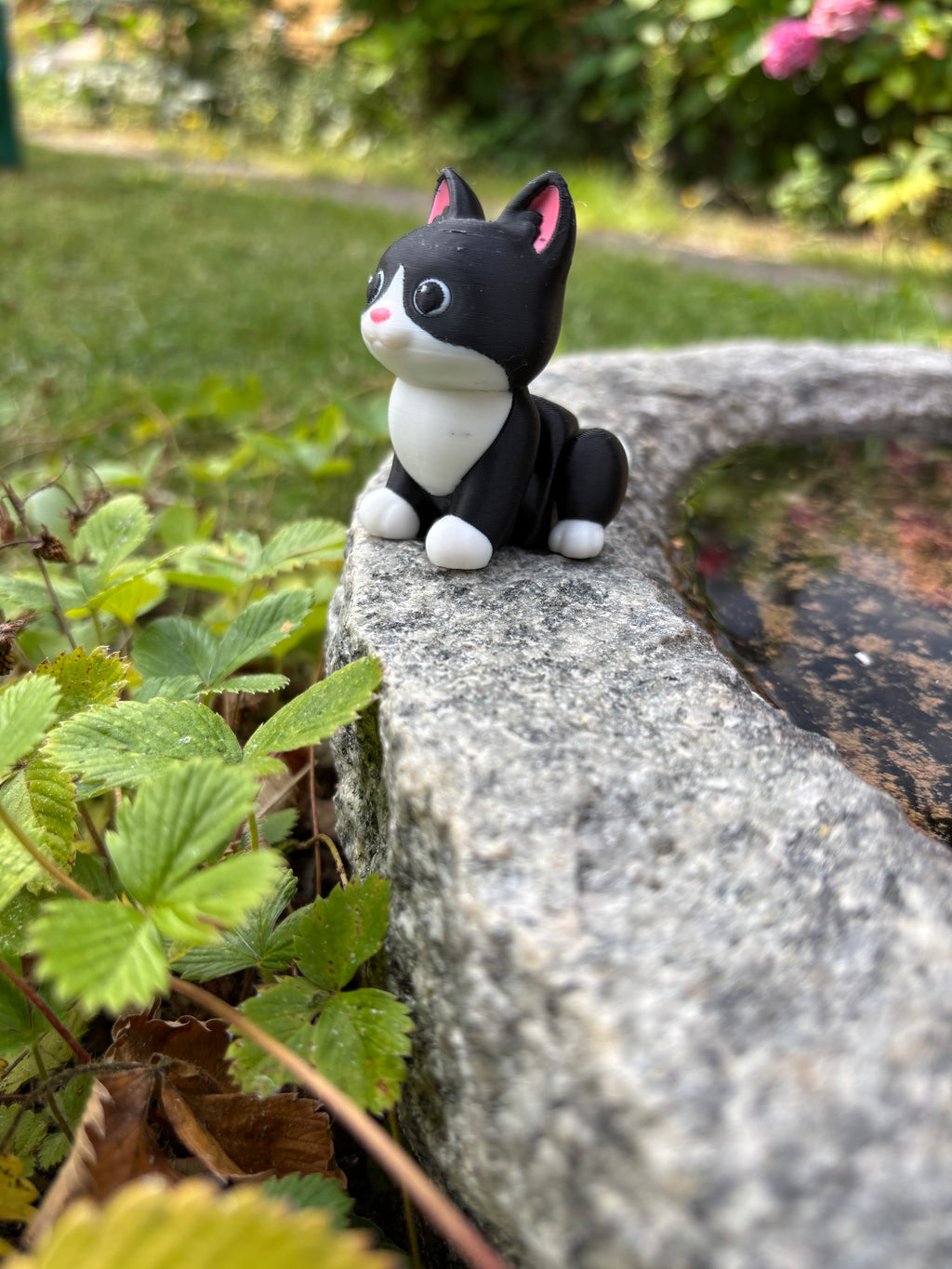 Mittens, the Midnight Library Cat of Whimsey’s Window