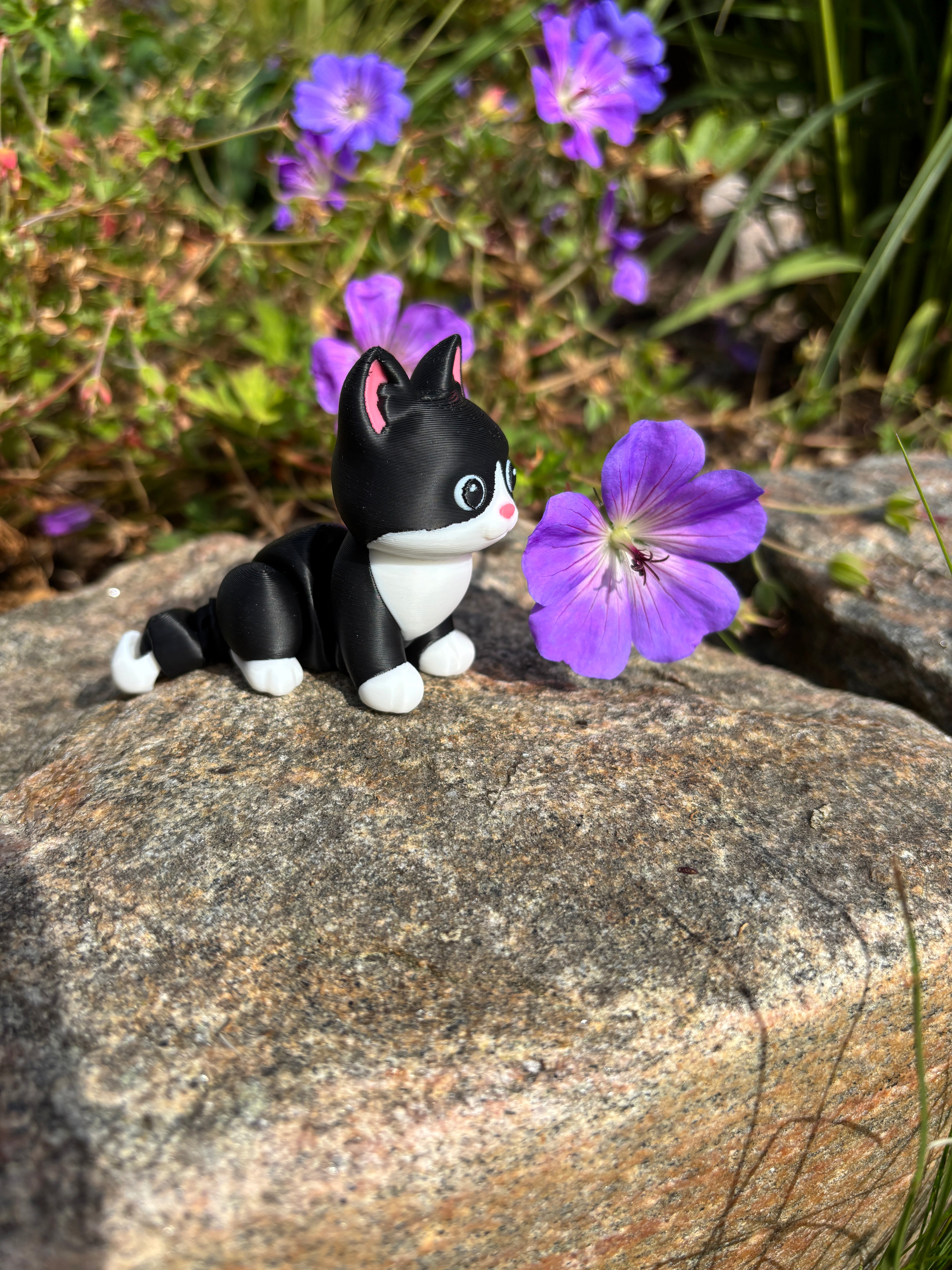 Mittens, the Midnight Library Cat of Whimsey’s Window