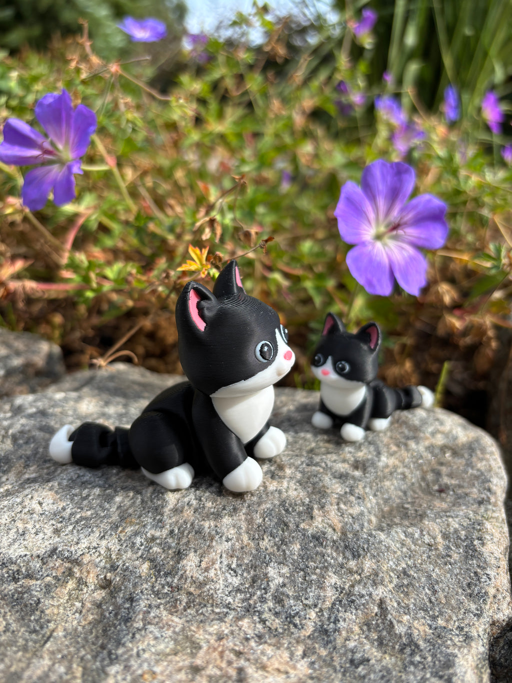 Mittens, the Midnight Library Cat of Whimsey’s Window