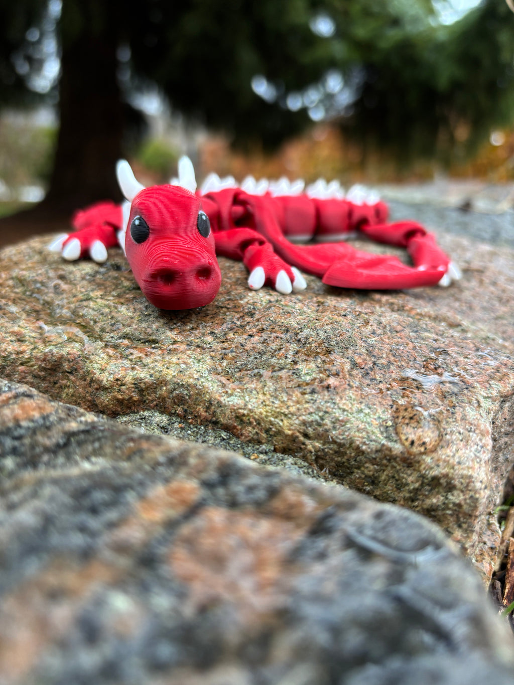 Elemental Dragons of Misty Tower - Glimmerwing, Firesprite, Dewdancer & Spriggleback