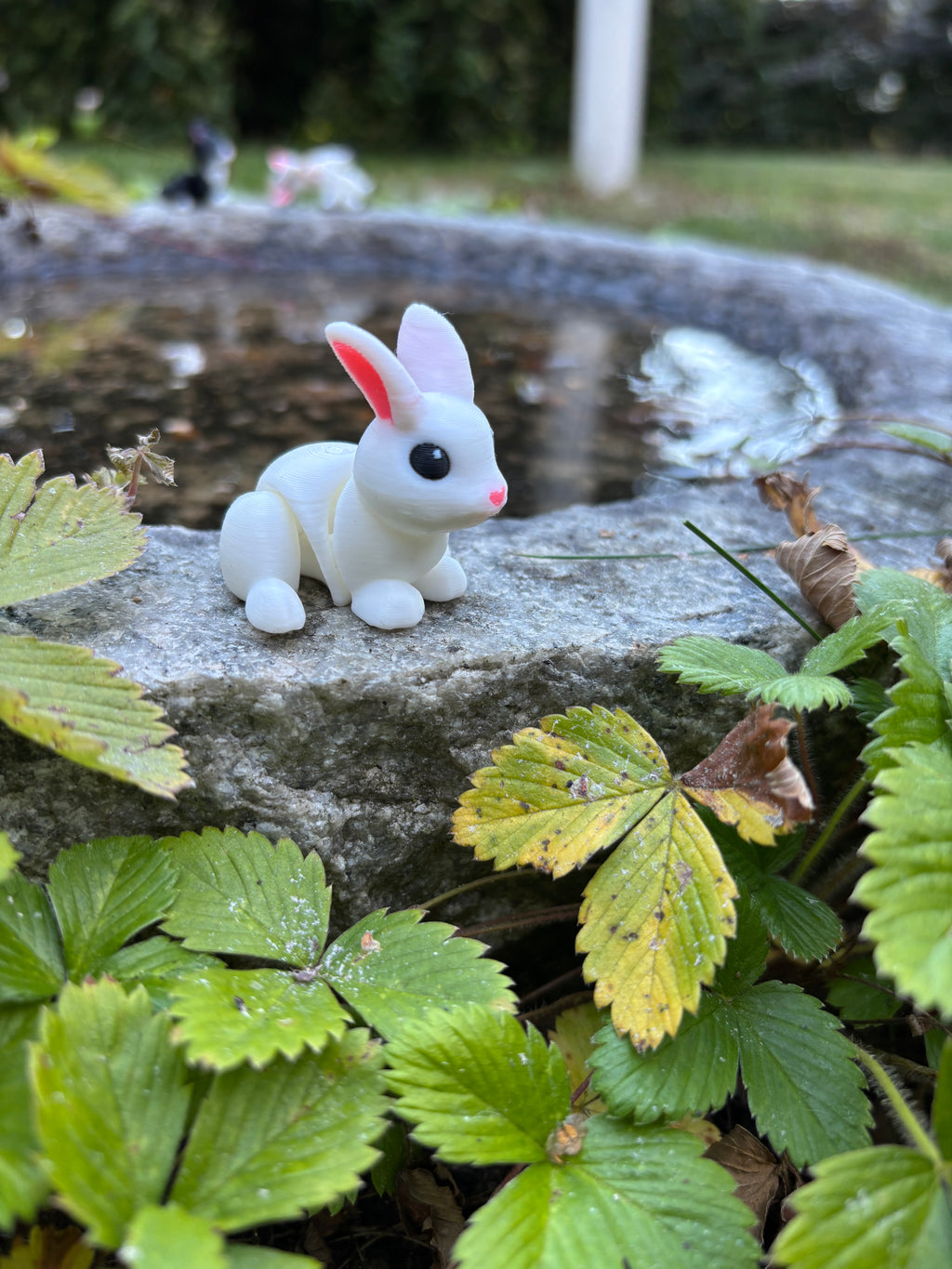 Thistle, the Moonbeam Bunny of the Magical Farm