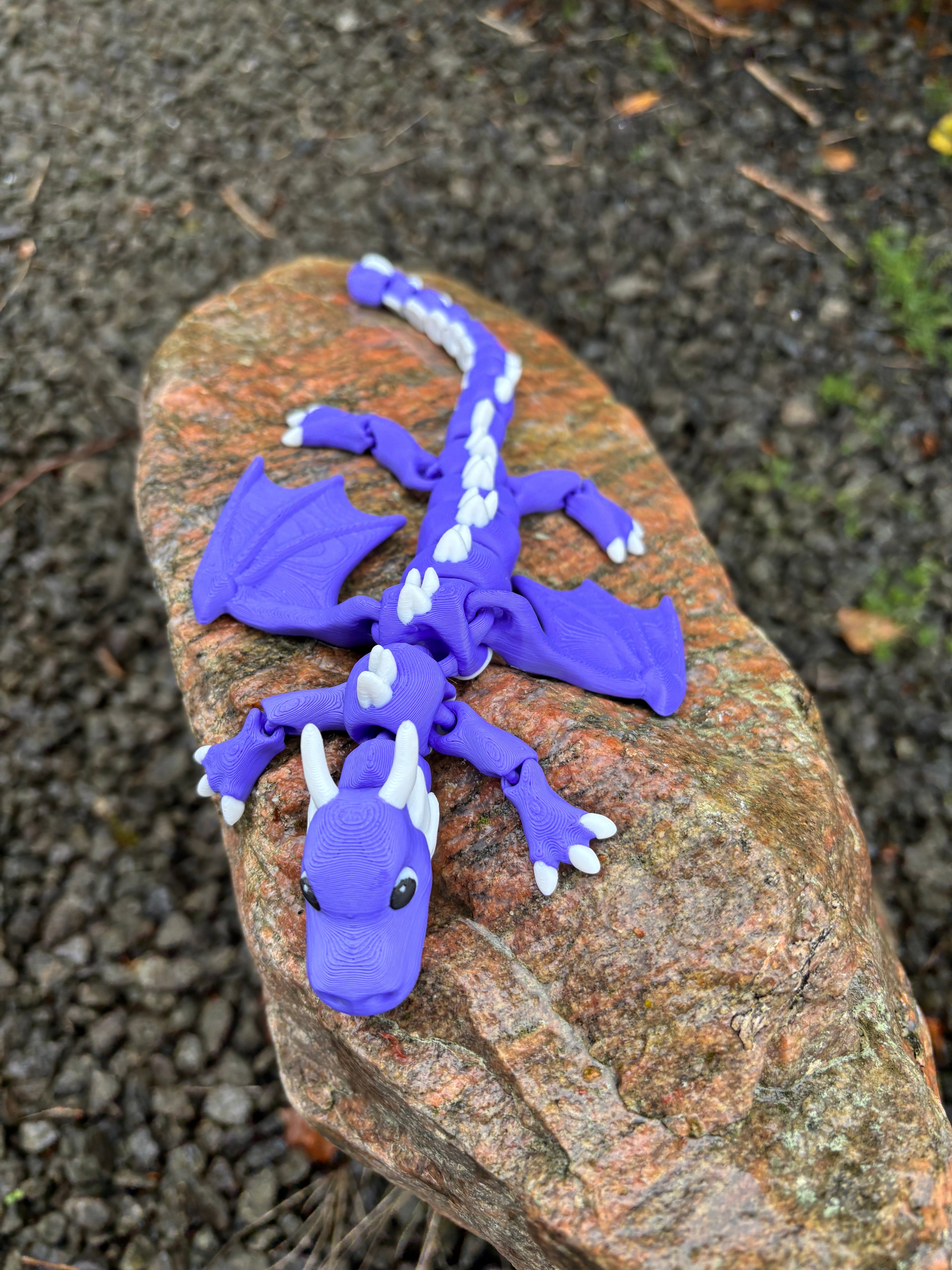 Elemental Dragons of Misty Tower - Glimmerwing, Firesprite, Dewdancer & Spriggleback