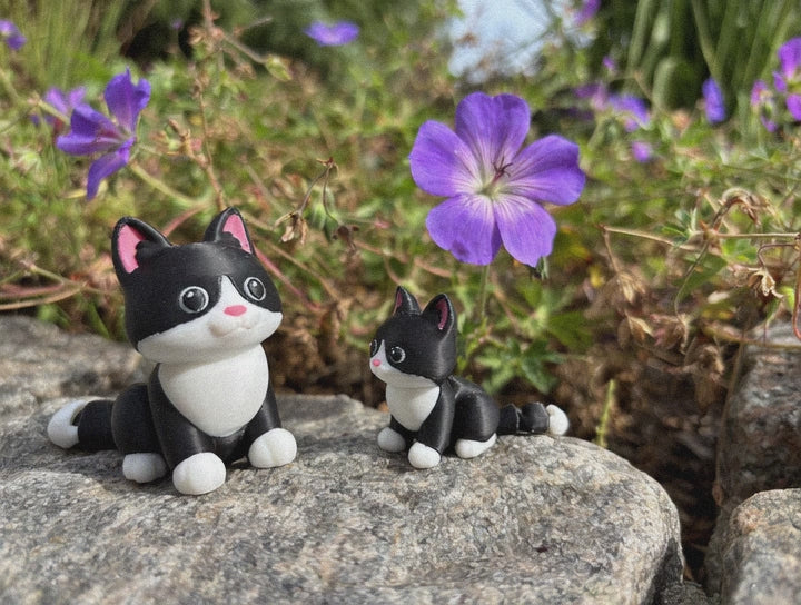 Mittens, the Midnight Library Cat of Whimsey’s Window